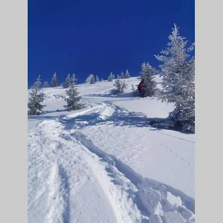 Chalet Sache - Foy Tarentaise Sainte-Foy-Tarentaise